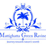 homestay in sirsi-mattighatta greeen ravine nature stay