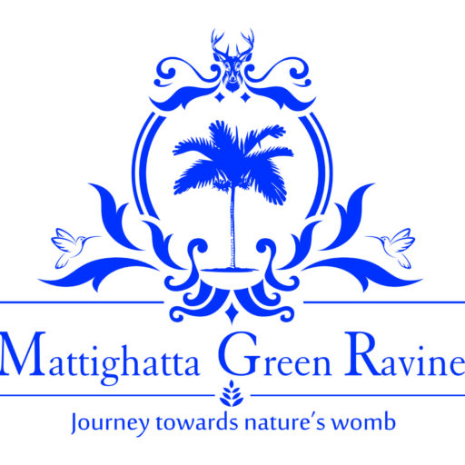 homestay in sirsi-mattighatta greeen ravine nature stay