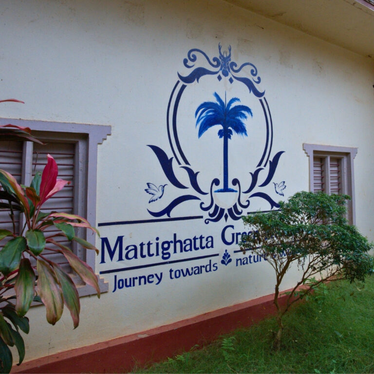 Contact Mattighatta Green Ravine Nature Stay