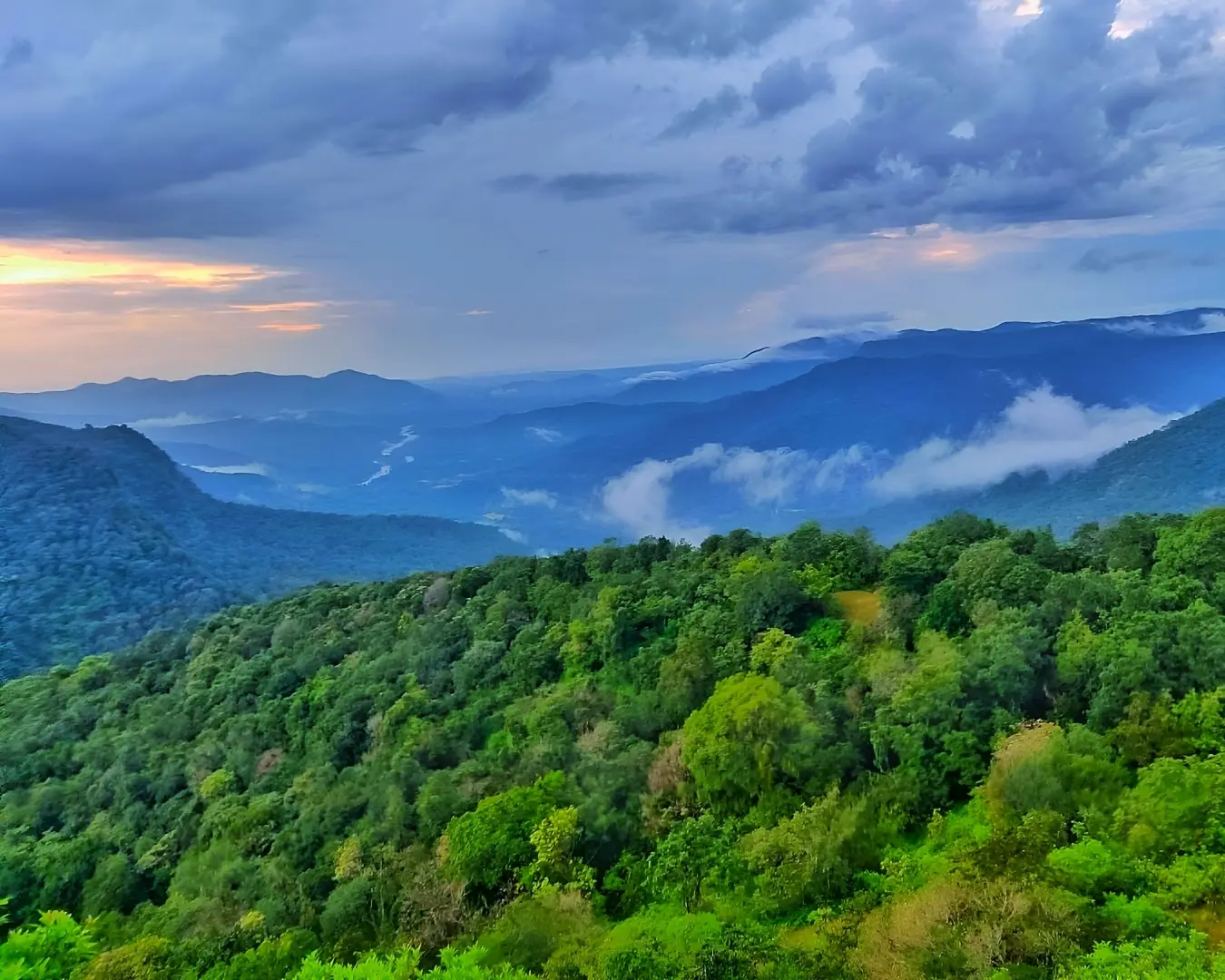 Bheemana Gudda near mattighatta green ravine nature stay