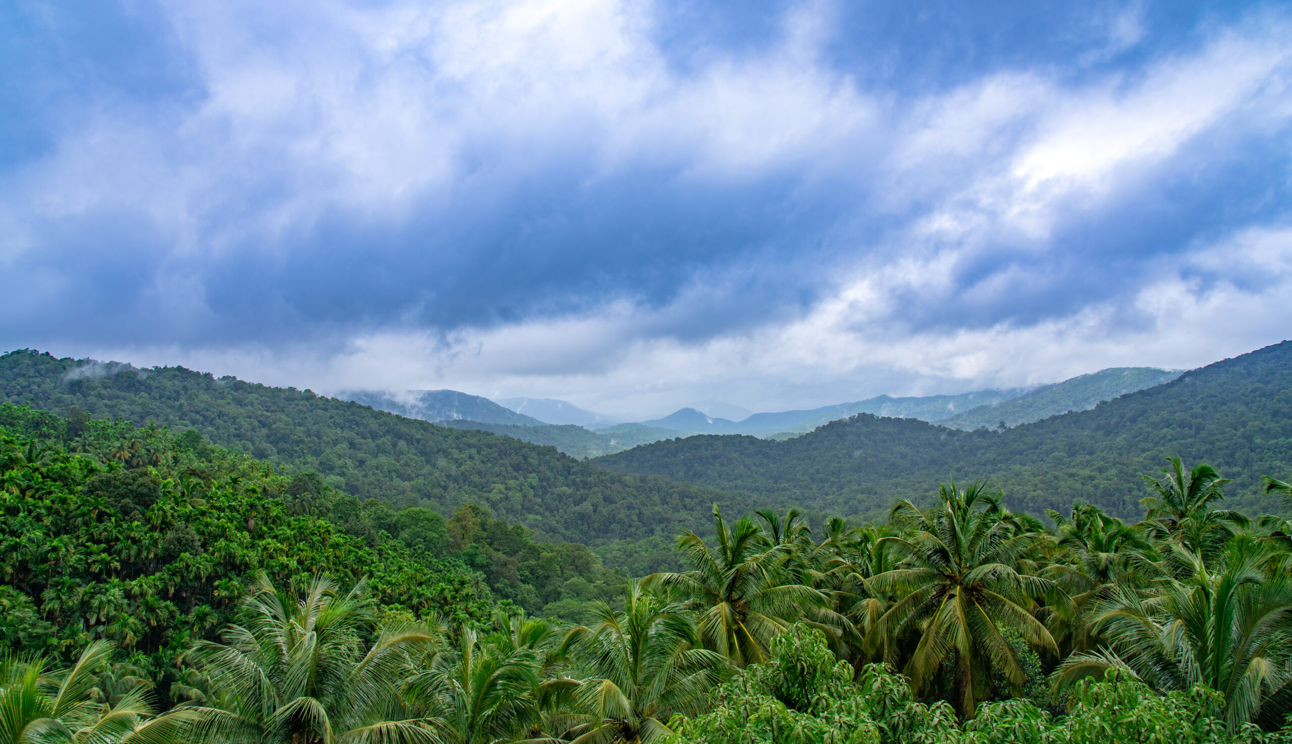 view point at mattighatta green ravine nature stay