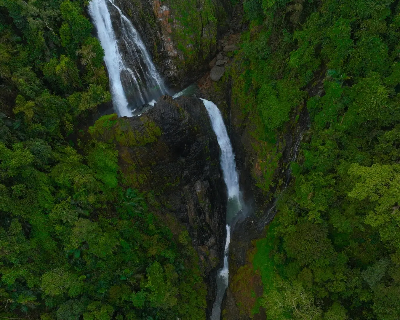 Mattighatta falls near homestay