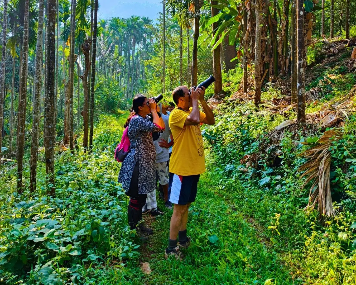 birding at mattighatta green ravine nature stay