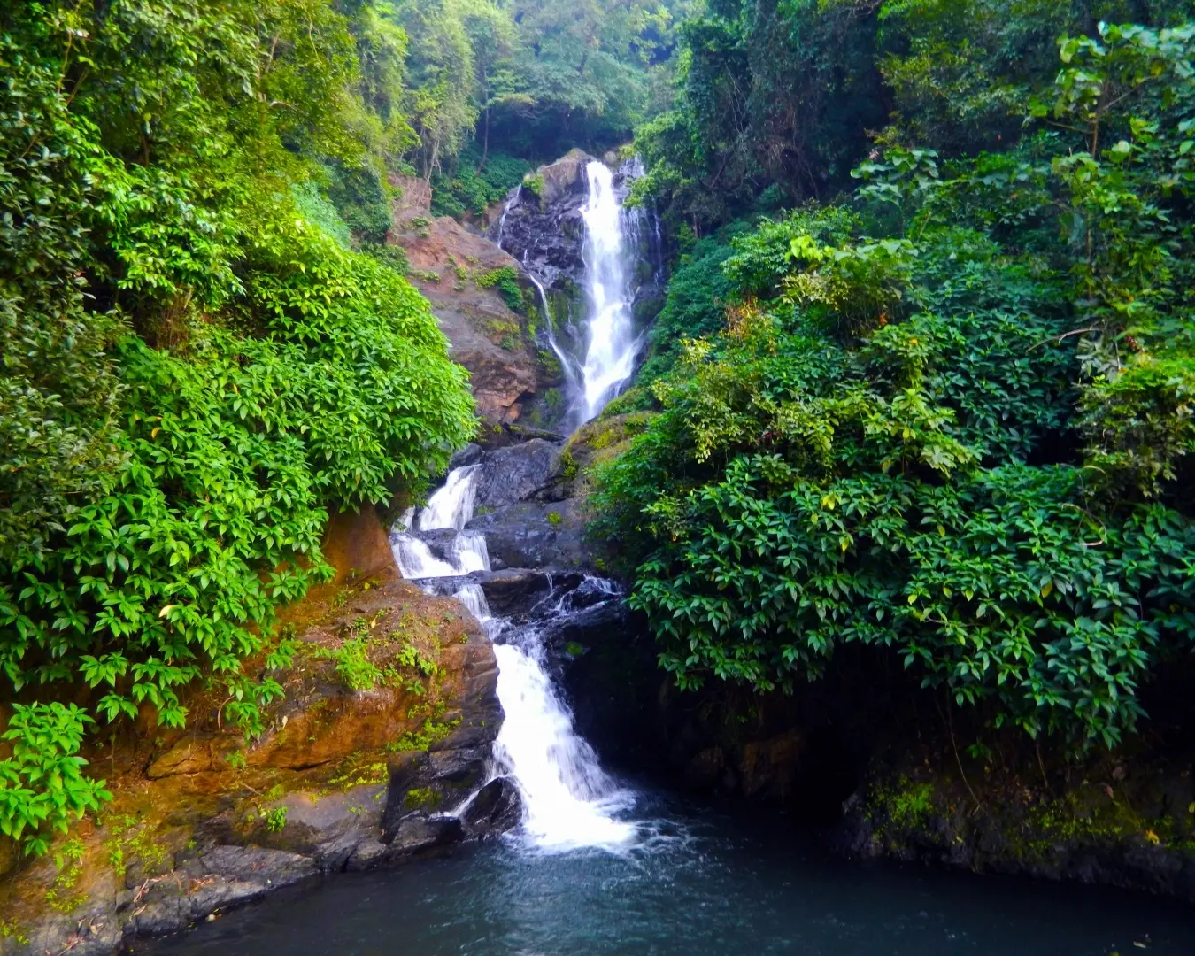 vibhuti falls near mattighatta green ravine nature stay