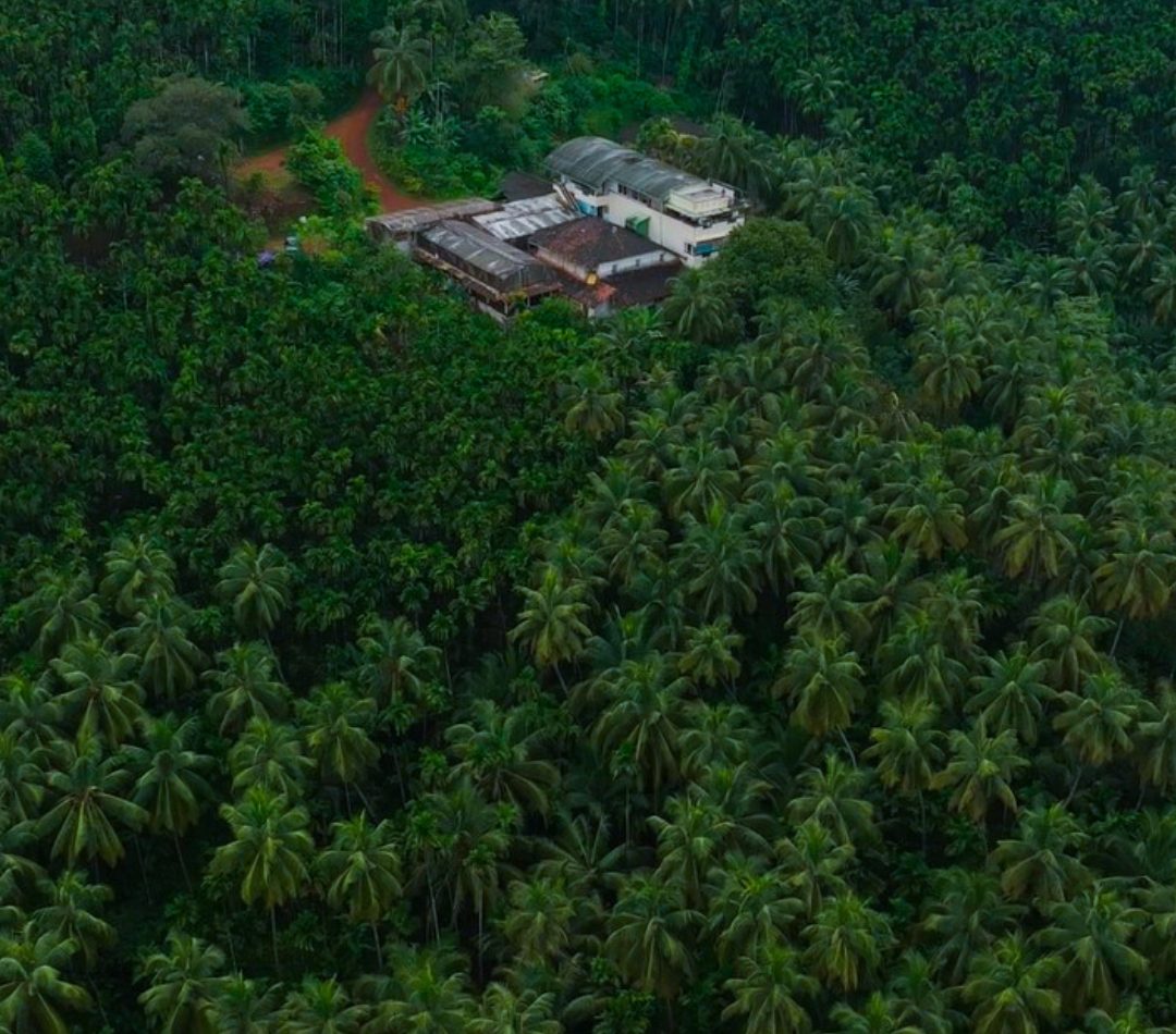 homestay near sirsi-mattighatta green ravine stay